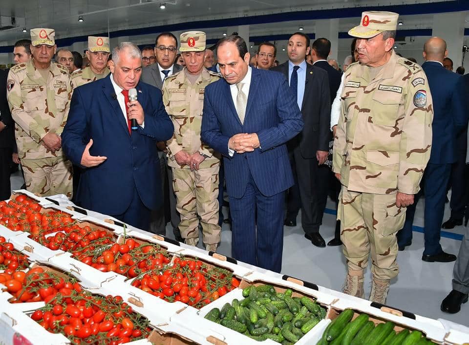 الامن الغذائي