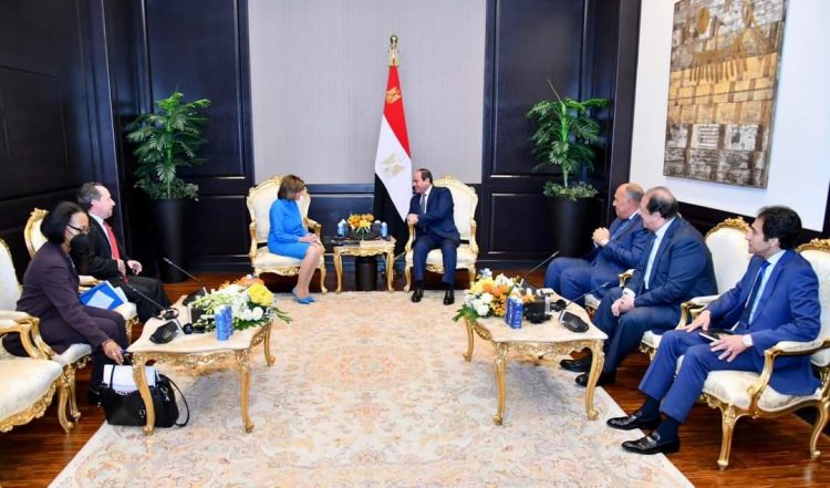 الرئيس السيسي يستقبل رئيس مجلس النواب الأمريكي